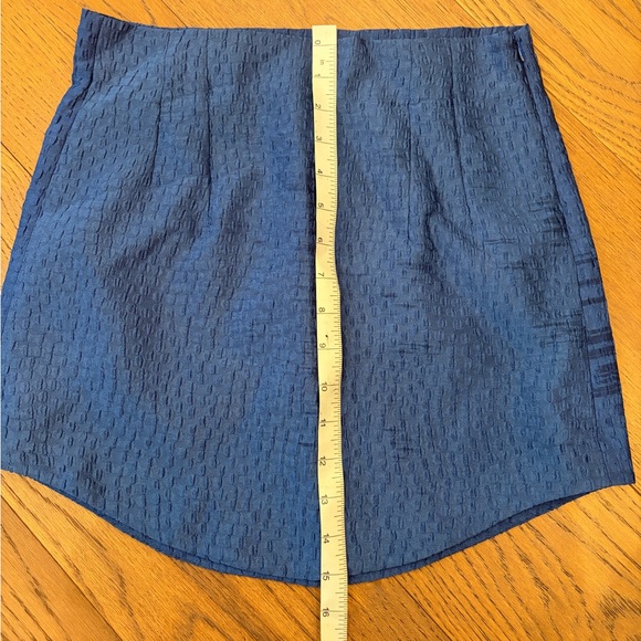 Zara Skirt - Picture 10 of 11